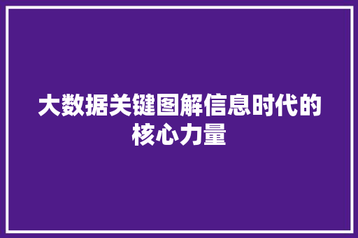 大数据关键图解信息时代的核心力量  第1张
