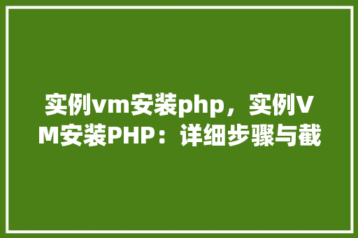 实例vm安装php，实例VM安装PHP：详细步骤与截图教程  第1张