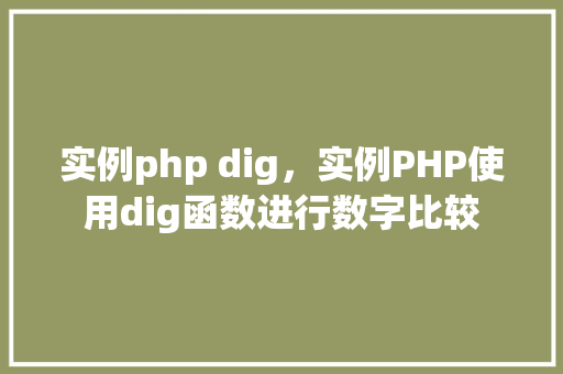 实例php dig，实例PHP使用dig函数进行数字比较