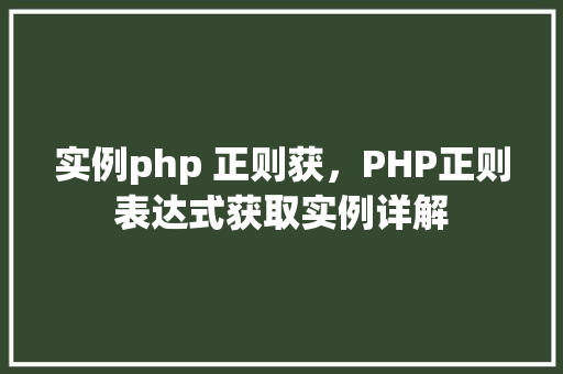 实例php 正则获，PHP正则表达式获取实例详解