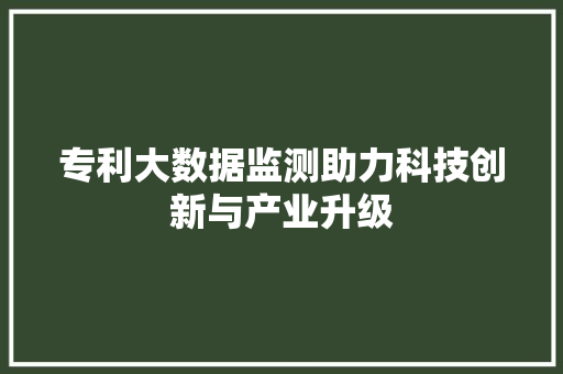专利大数据监测助力科技创新与产业升级