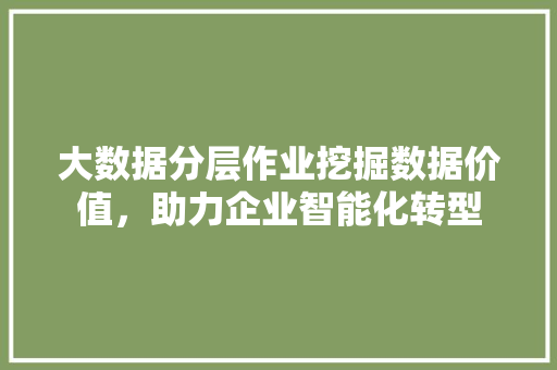 大数据分层作业挖掘数据价值，助力企业智能化转型