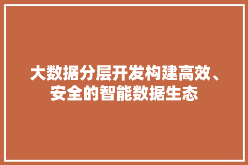 大数据分层开发构建高效、安全的智能数据生态