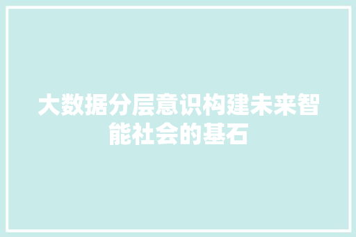 大数据分层意识构建未来智能社会的基石