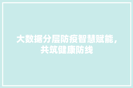 大数据分层防疫智慧赋能，共筑健康防线