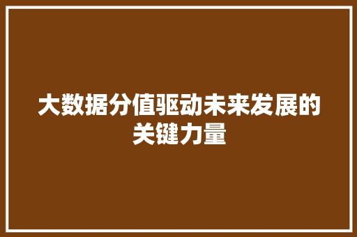 大数据分值驱动未来发展的关键力量  第1张