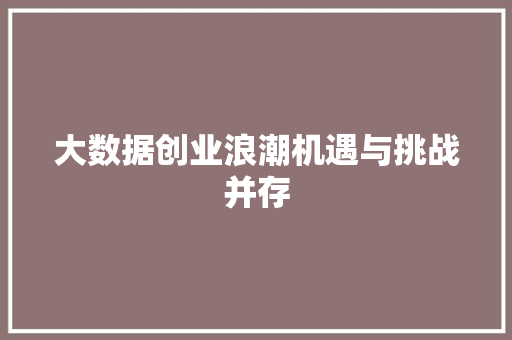 大数据创业浪潮机遇与挑战并存  第1张