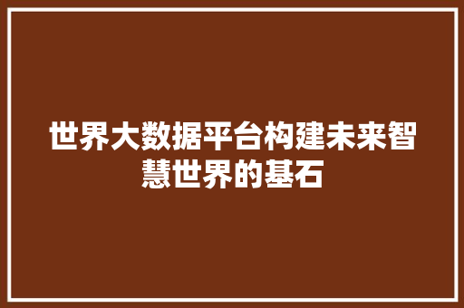 世界大数据平台构建未来智慧世界的基石  第1张