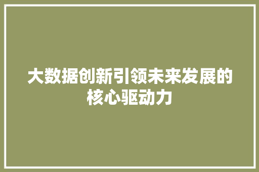 大数据创新引领未来发展的核心驱动力