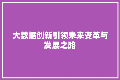 大数据创新引领未来变革与发展之路