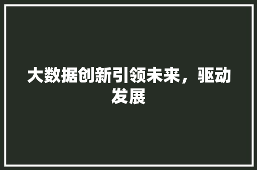 大数据创新引领未来，驱动发展