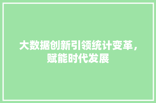大数据创新引领统计变革，赋能时代发展